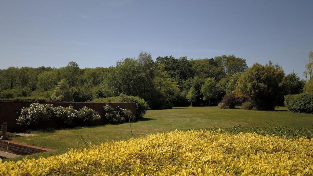 Paddock Barn ~ Short & Long Term Stay, Pets Welcome ~ Woodbridge, Framlingham Ar Cretingham ภายนอก รูปภาพ